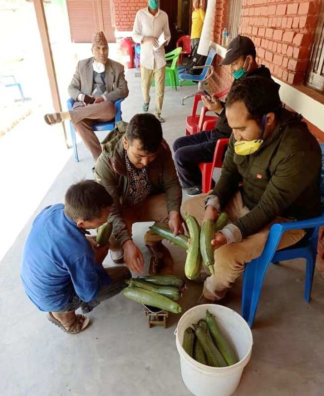 झिमरुक गाउँपालिका तरकारी फलाउँदै  विक्री गर्दै  !  (भिडियो सहित)